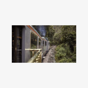 Cusco: First Class train to Machu Picchu fullday tour